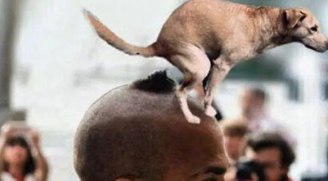 Кое кученце се изходи на главата на Дани Алвеш и още футболен смях (ГИФ)