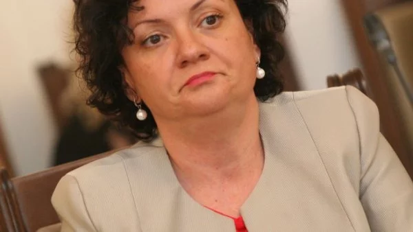 Ивелина Василева: 108 мъртви делфини са открити по брега