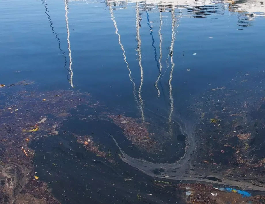 Разлив на нефт в Черно море 