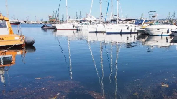 ВиК-Златни пясъци отнесе глоба за замърсяване на Черно море