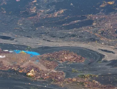 Нефтеното петно в река Марица се изгуби