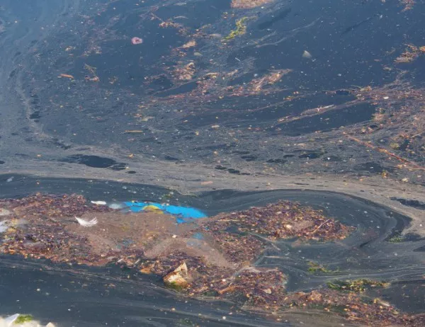 Нефтопродукти са замърсили плажа в Албена