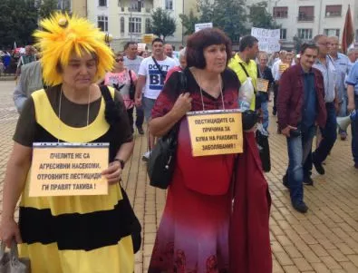 Пчеларите смениха исканията си за протеста - против пестицидите