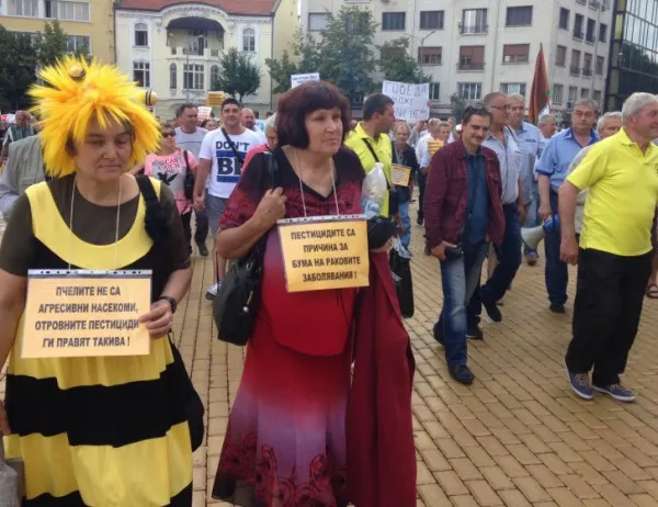 Пчелари подготвят блокада на пътя Плевен-София заради натровени пчели