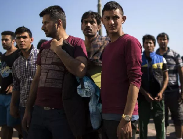 Над 95 000 бежанци са влезли в Унгария през Сърбия 