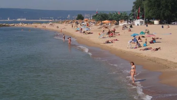 Започват масови проверки в нощните заведения по морето