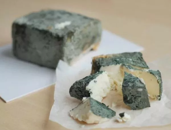 Зеленото сирене от Черни вит сред най-добрите сирена в Европа