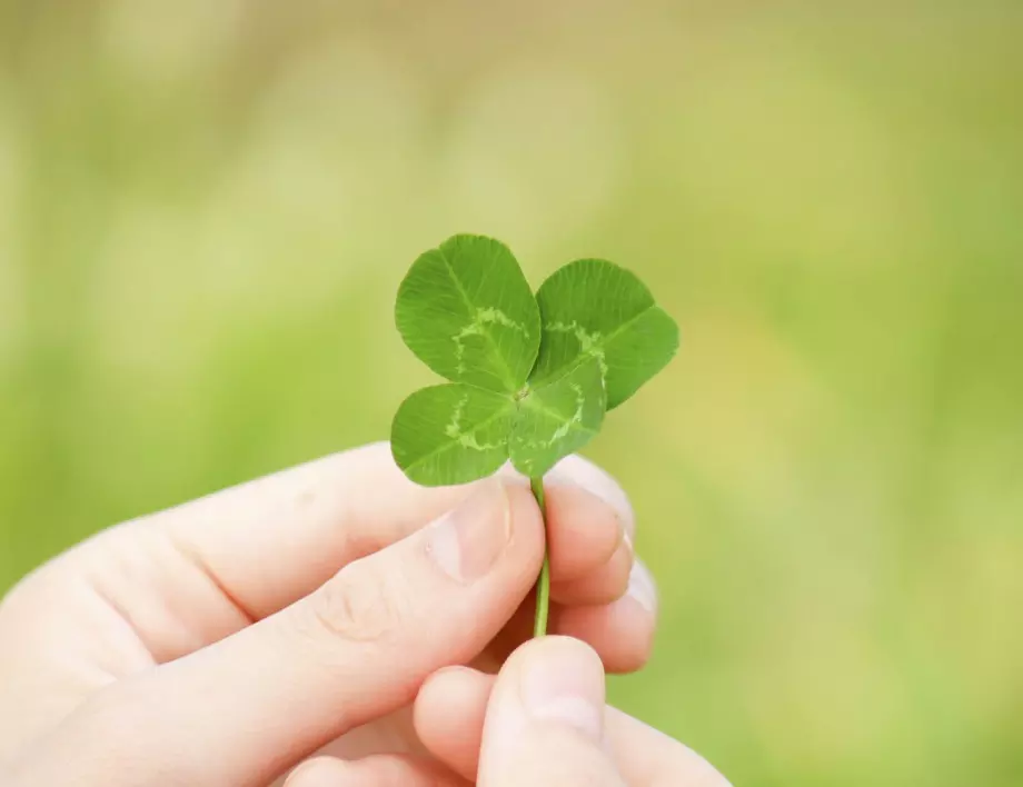 Късметче според зодията за тази седмица, 16-20 АВГУСТ