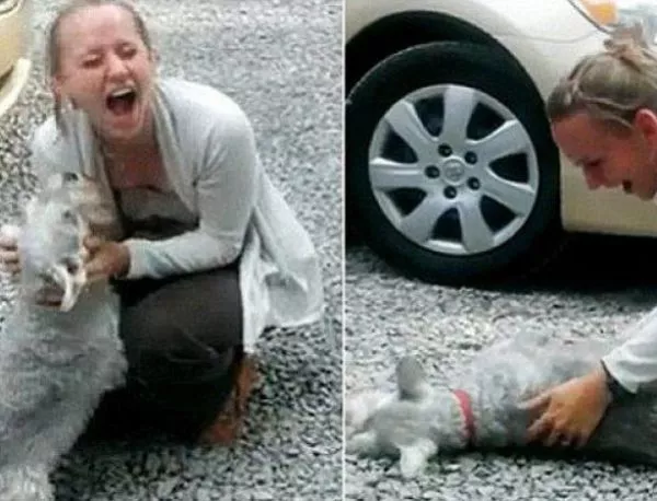 ВИДЕО: Куче припада от радост, срещайки стопанката си след 2 години раздяла