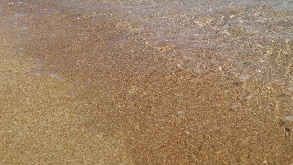 Най-проблемният плаж през летния сезон е бил този в Обзор