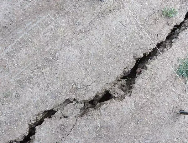 Няма нанесени разрушения на територията на община Свищов след земетресението във Вранча