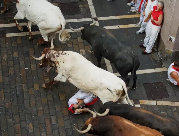 В Испания хиляди протестираха срещу жестокостите към бикове