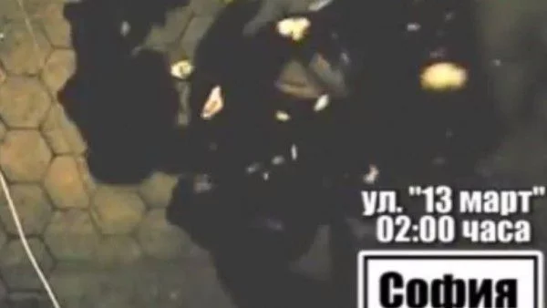 Проверяват Столична полиция след клипа с битото момиче