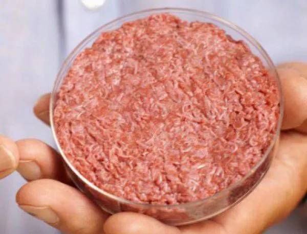До 5 години в магазините ще се появи месо, създадено в лаборатория