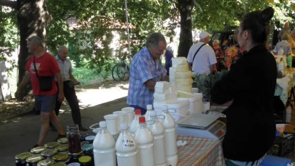 Фермери протестират заради ниските изкупни цени на млякото