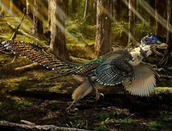 Най-големият пернат динозавър имал пищна опашка