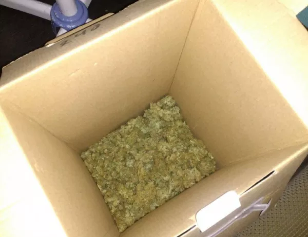 Задържаха 4 тона албанска марихуана в яхта под американски флаг