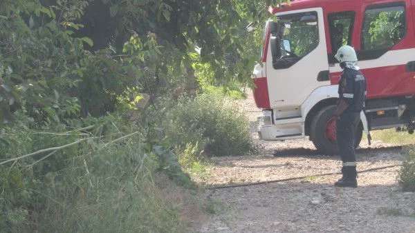 Пожарът в Лесово до обяд се очаква да е изгасен