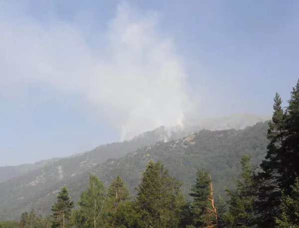 Пети ден гасят гората над Рилския манастир, опасност от пожари в цялата страна 