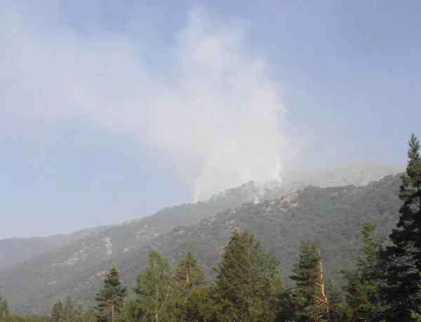 Пожар гори в Македония, на километри от българската граница