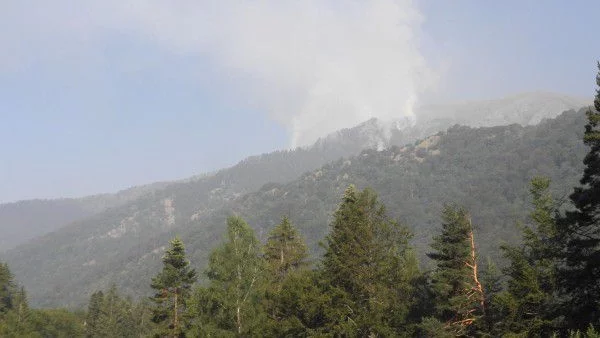 50 дка гора изгоряха край Девин