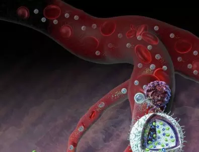 Учени създадоха „раница“ от микрочастици, която се бори срещу раковите клетки