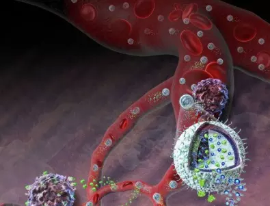 Обещаващи резултати в борбата с рака: Витамин може и да помага за лечението