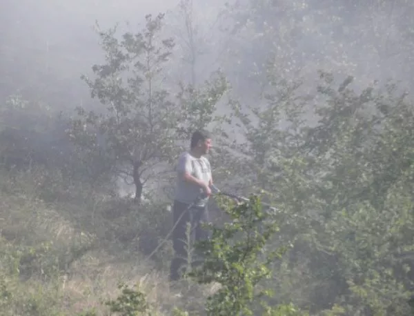 Пожарът край Лесово застрашава да премине и в Турция 