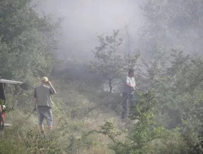 6 пожара гасиха на територията на област Шумен през последните 24 часа