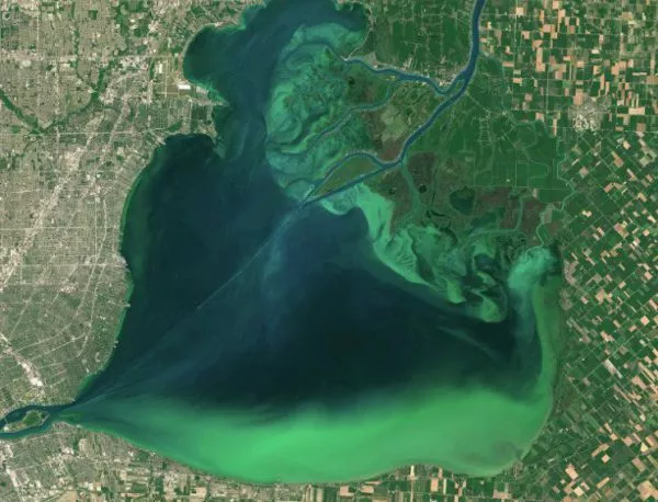Опасният цъфтеж на Великите езера (СНИМКИ)