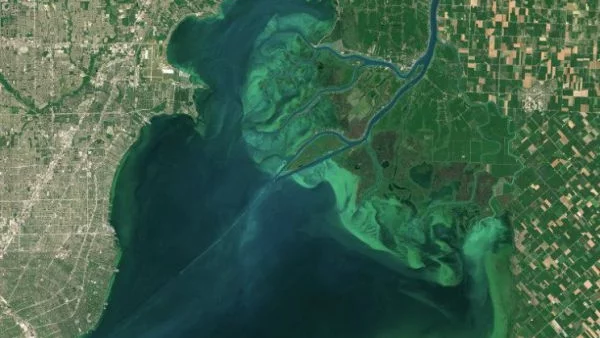Опасният цъфтеж на Великите езера (СНИМКИ)