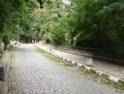 Пътят към Бачковския манастир е общински, определи съда в Асеновград