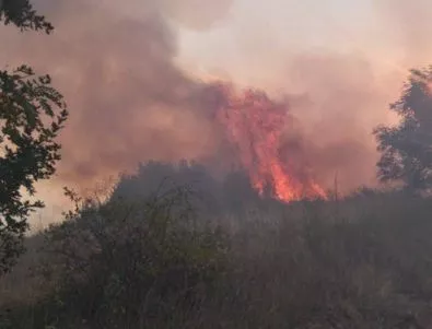 Пожар гори във Видин