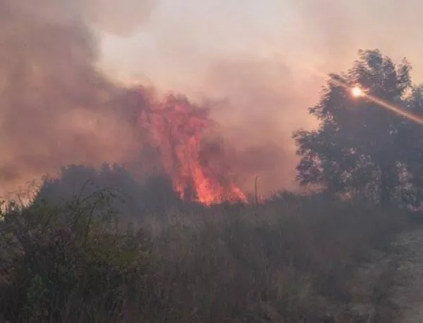 Пет горски пожара са възникнали в област Пазарджик от началото на сезона