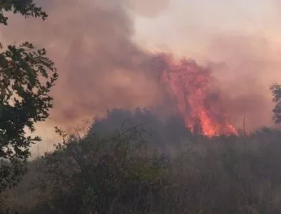 Стотици евакуирани след пожари в Калфорния