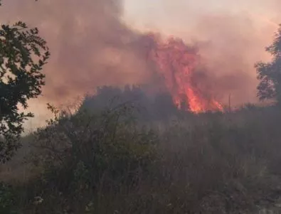 Голям пожар гори край Тутракан