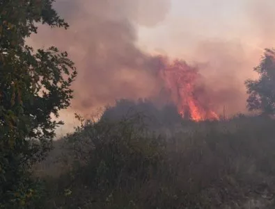 Горският пожар край Ардино не застрашава населеното място 