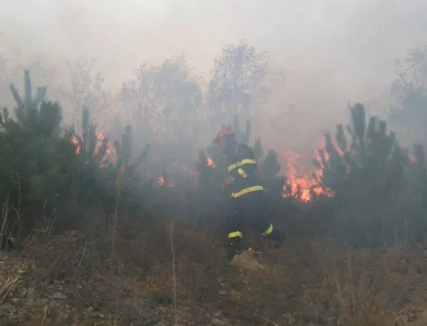 Горски пожар гори край Казанлък