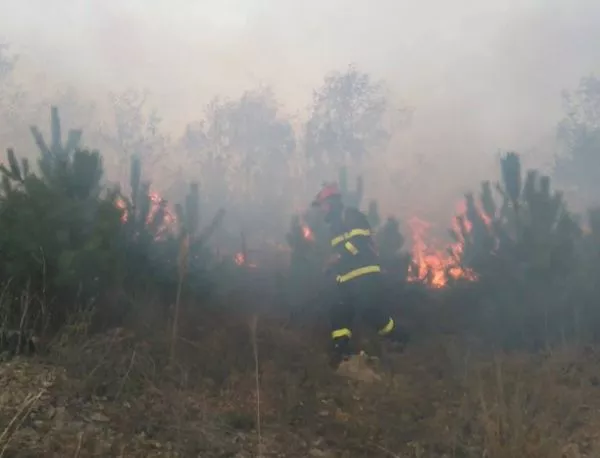 Голям пожар се разгоря край Благоевград