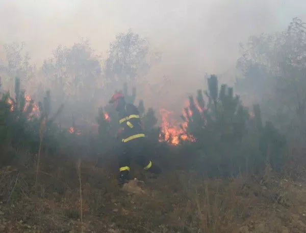 Пожарът в Смолянско е под контрол, бедственото положение остава
