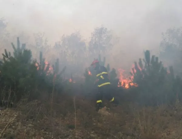 МВР: За последните 24 часа са ликвидирани над 200 пожара