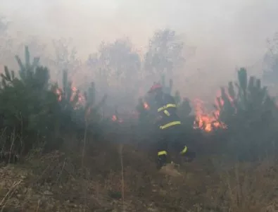 2016 г. е рекордна по щети от горски пожари 