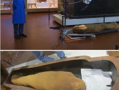 Египетските мумии се съхранили благодарение на вносни материали