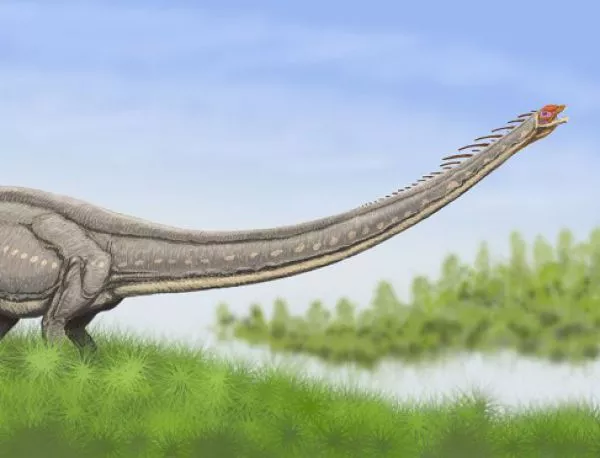 Откриха следи от 30-тонен динозавър