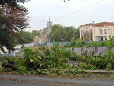 Пловдив постепенно се възстановява от опустошителната буря 