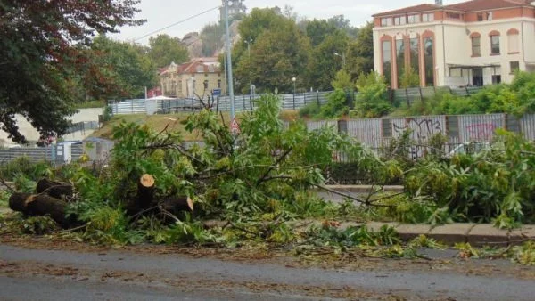 Пловдив постепенно се възстановява от опустошителната буря 