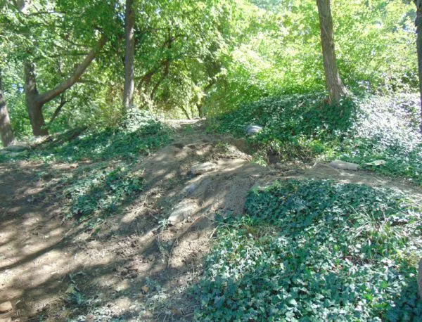 Намериха човешки кости в Цар-Симеоновата градина в Пловдив
