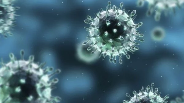 Разработиха две универсални ваксини срещу грип