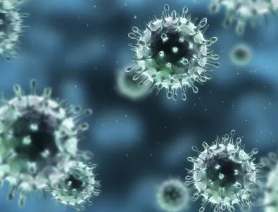 Учени откриха хиляди неизвестни вируси