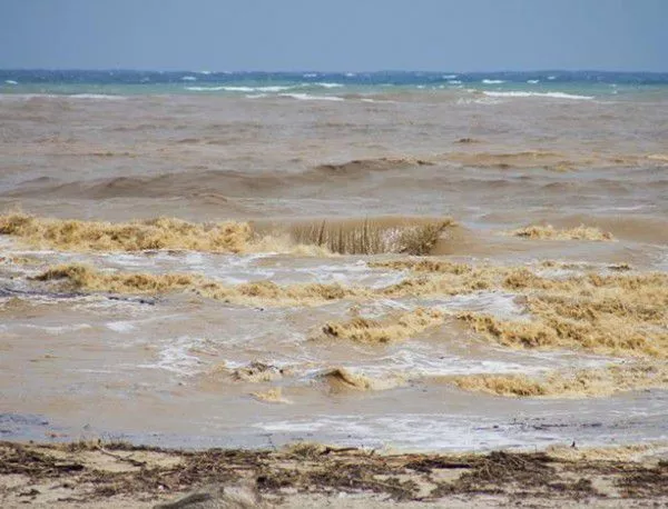 Вижте шокираща СНИМКА от водата на плажа в Лозенец